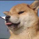 百无禁忌二号(DY)