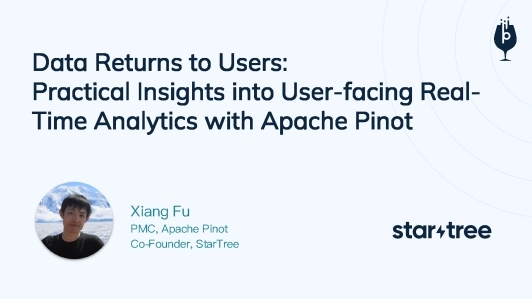 数据回归用户：Apache Pinot在用户导向实时数据分析的实践