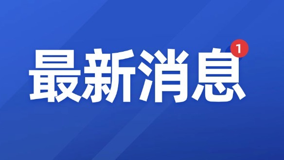 拖垮公司的真正元凶:低质量决策