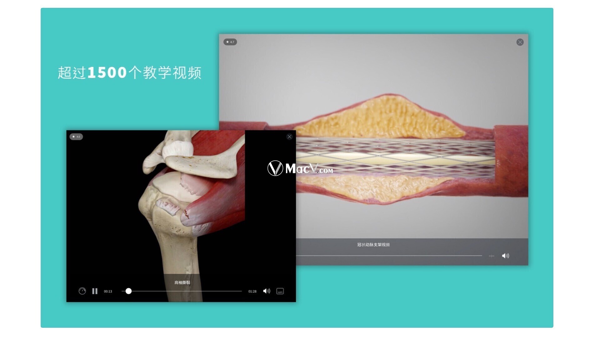 Complete Anatomy for Mac 3D医学软件免费版 支持M1/M2