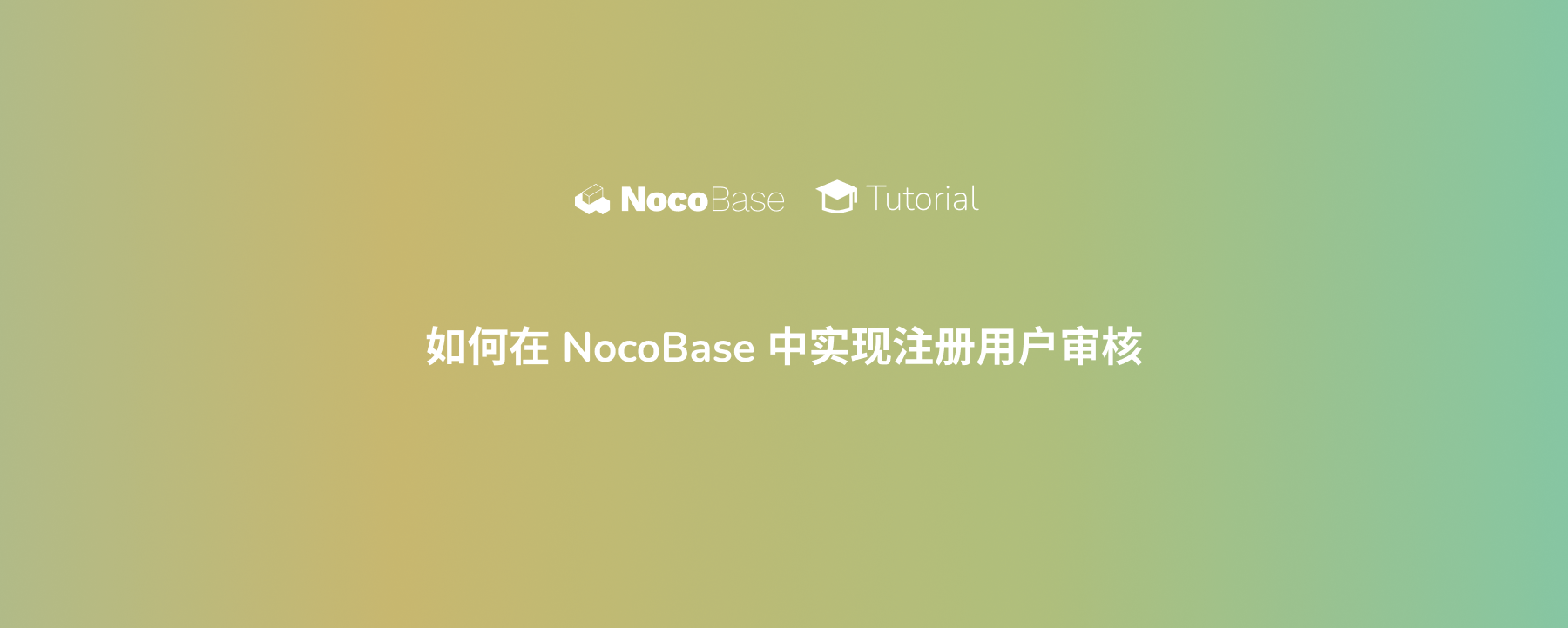 如何在 NocoBase 中实现注册用户审核