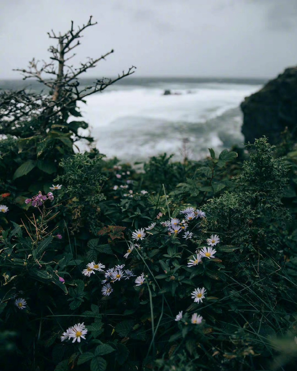 PyTorch 分布式训练底层原理与 DDP 实战指南