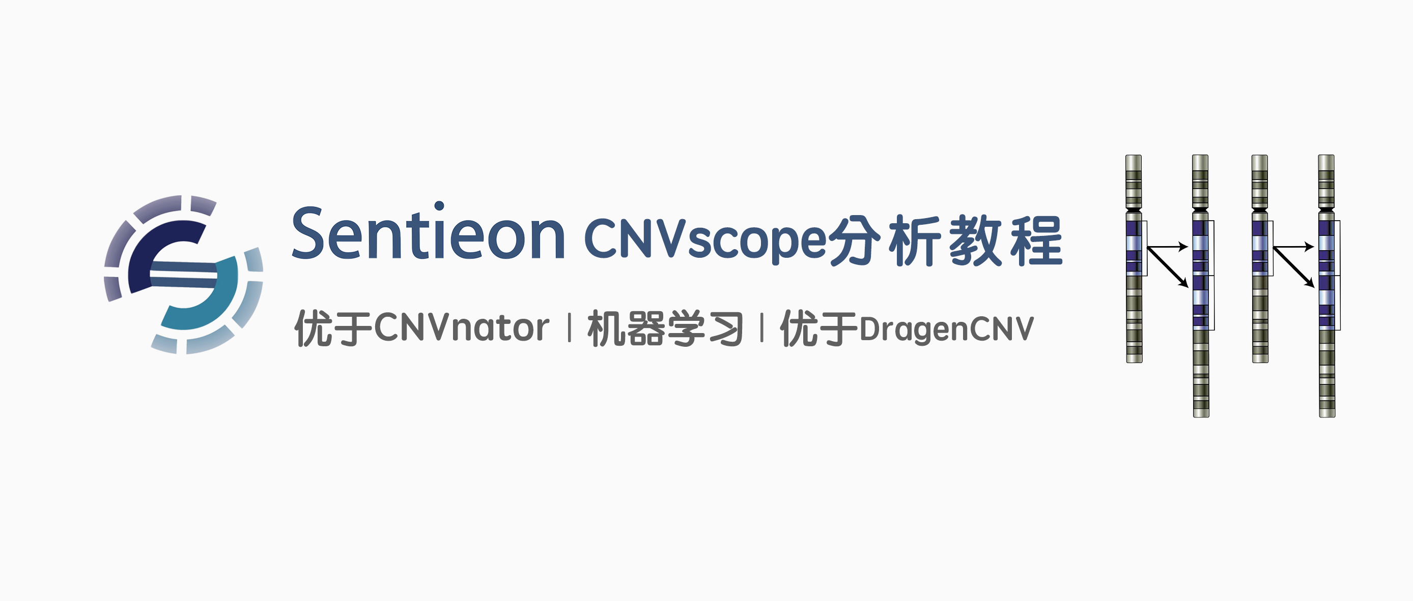 Sentieon 应用教程 | 使用CNVscope进行CNV检测分析