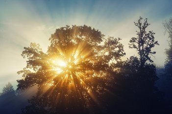 虚拟线程原理及性能分析