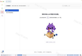 专为开发者和AI爱好者设计的工具 LM Studio for Mac您的本地 AI 工具包