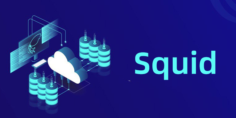 Squid 可观测性最佳实践