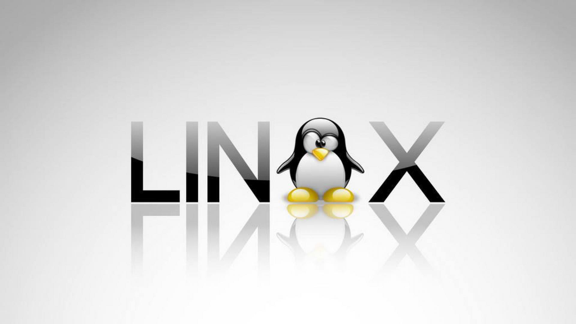 Linux系统中解决端口占用问题