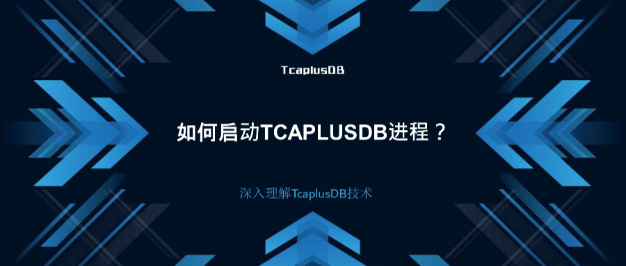 【深入理解TcaplusDB技术】如何启动TcaplusDB进程？