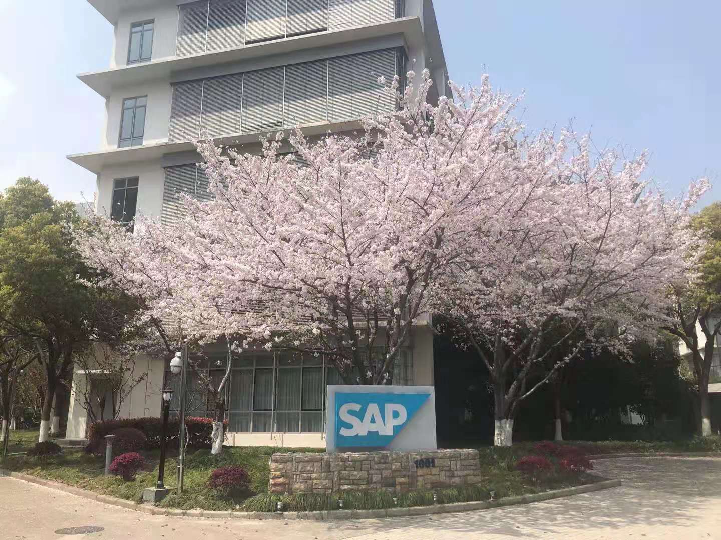 如何在 SAP BTP Java 应用里使用 SAP HANA 数据库