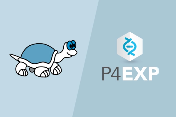 龟兔赛跑：如何使用TortoiseSVN客户端和P4EXP