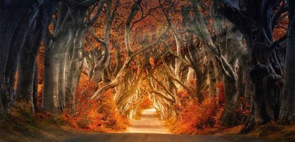 https://static001.geekbang.org/infoq/1e/1eb0a0995b57d36f9b9522a0356ccf0c.jpeg?x-oss-process=image%2Fresize%2Cw_416%2Ch_234