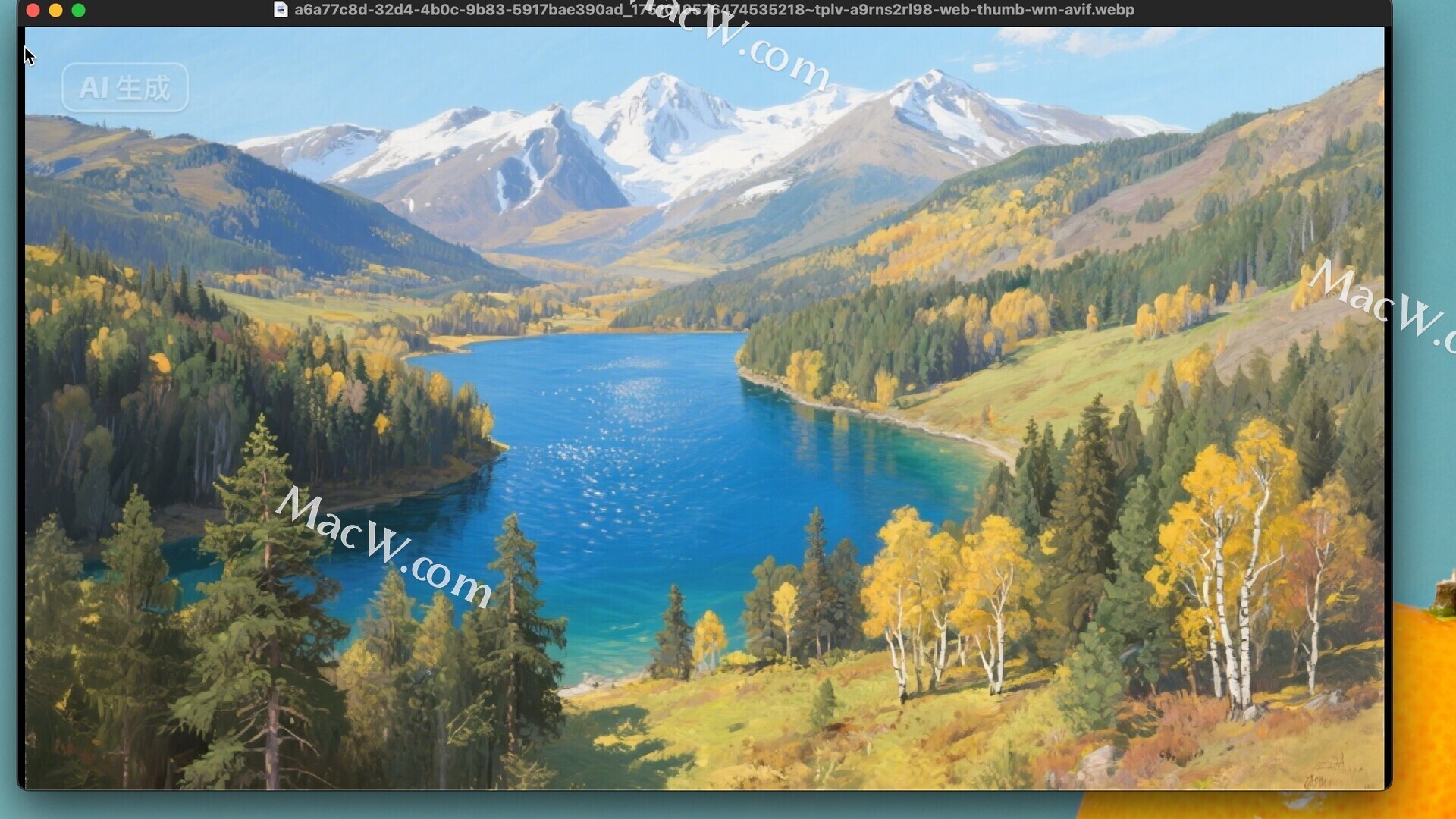 WidsMob Viewer Pro for Mac – 极速浏览 & 管理海量照片!