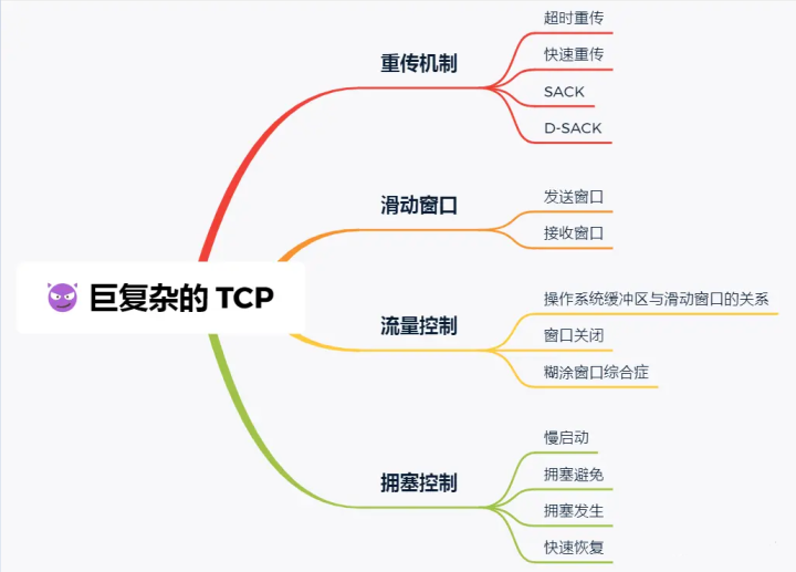 你从未见过如此详细的 TCP 八股文！