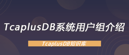 【TcaplusDB知识库】TcaplusDB系统用户组介绍