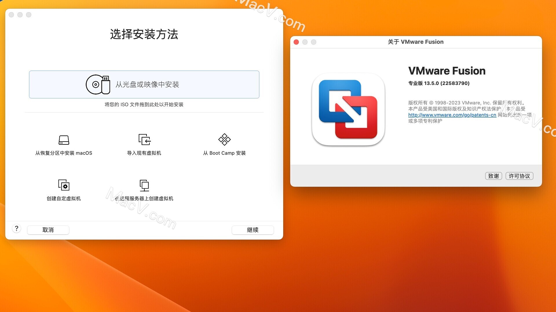 VMware Fusion Pro 13 for Mac(VM虚拟机) v13.5.0中文激活版