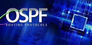 全网对OSPF最言简意赅的归纳！强烈建议收藏！