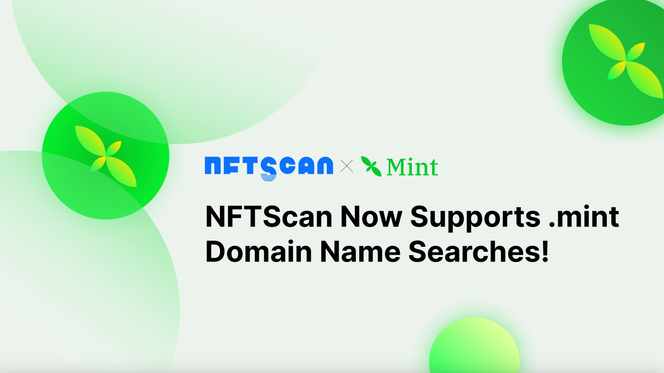 NFTScan 浏览器现已支持 .mint 域名搜索功能！