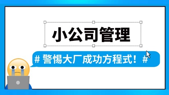小公司管理:警惕大厂的“成功方程式”