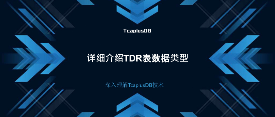 【深入理解TcaplusDB技术】详细介绍TDR表数据类型
