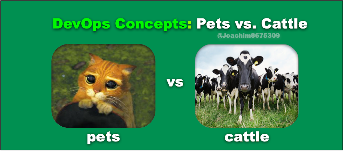 云计算科普：Pets（宠物）和Cattle（牲口）傻傻分不清楚？