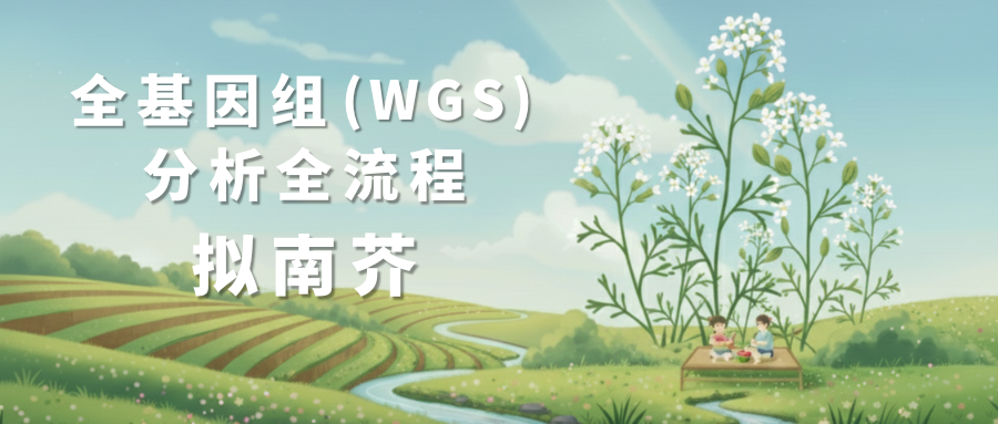 Sentieon | 拟南芥全基因组（WGS）分析