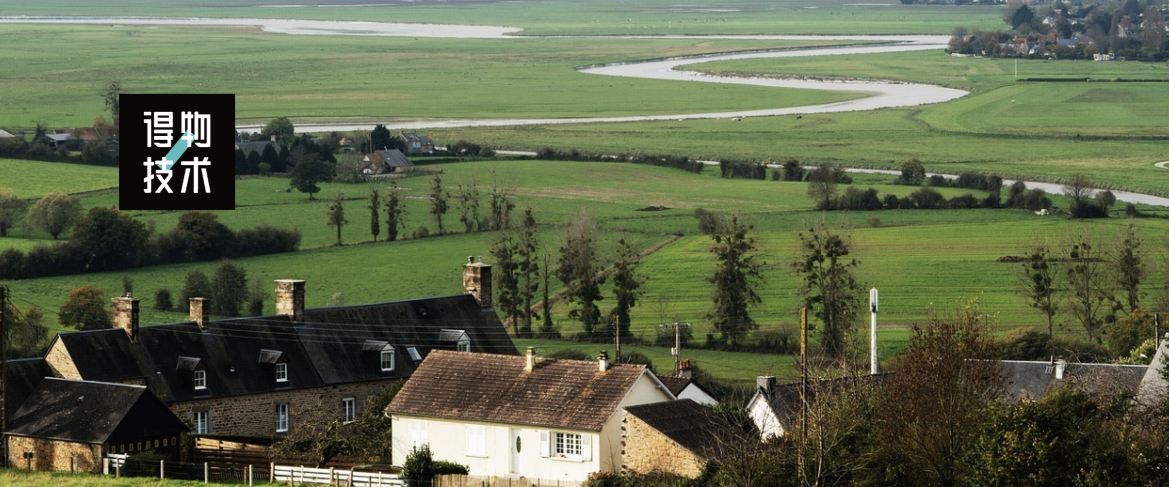从0到1搭建一个智能分析OBS埋点数据的AI Agent|得物技术