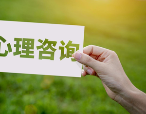 心灵馆咨询管理系统：专业心理咨询行业的数字化解决方案