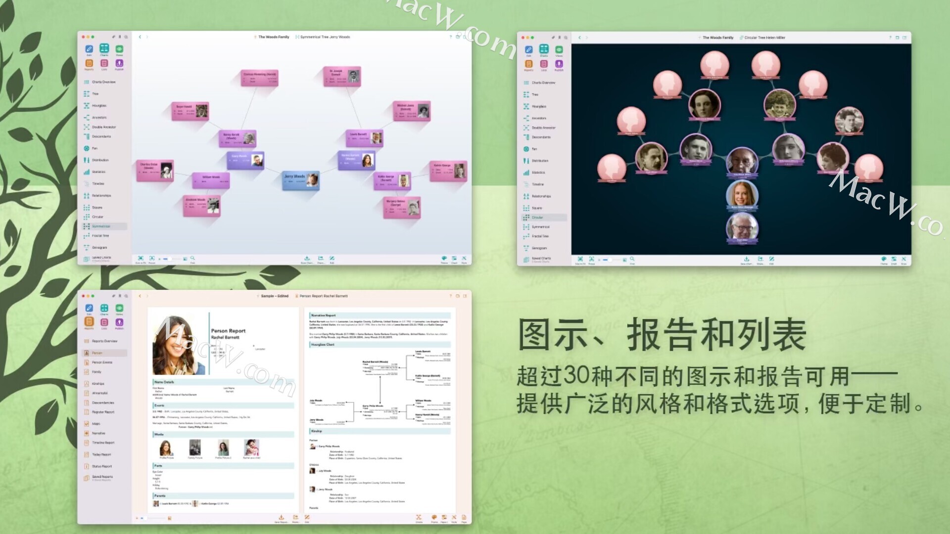 如何绘制族谱？这款Mac家谱软件MacFamilyTree可以轻松帮你绘制百年家族谱！