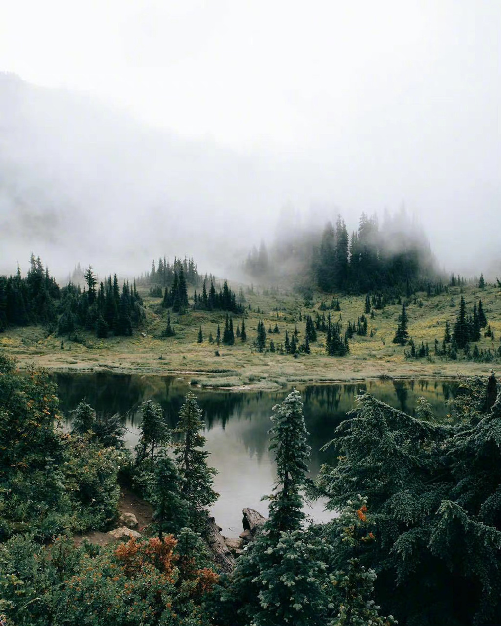 从零开始:用Python和Gemini 3四步搭建你自己的AI Agent