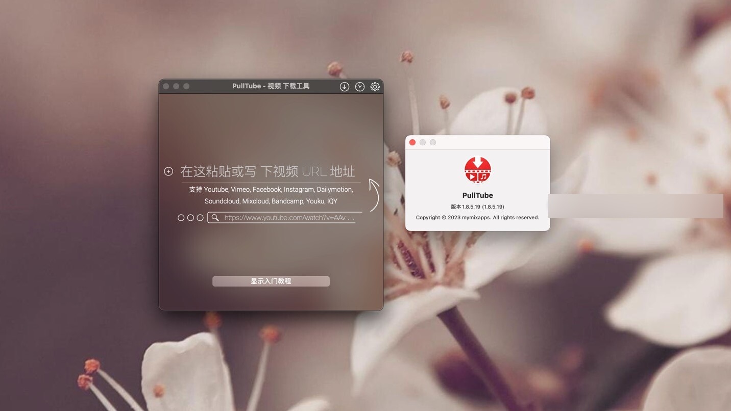 PullTube for Mac(在线视频下载软件) 1.8.5.19中文直装版