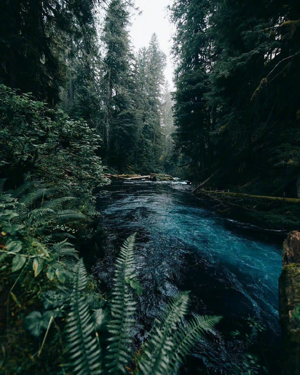 LEANN:一个极简的本地向量数据库