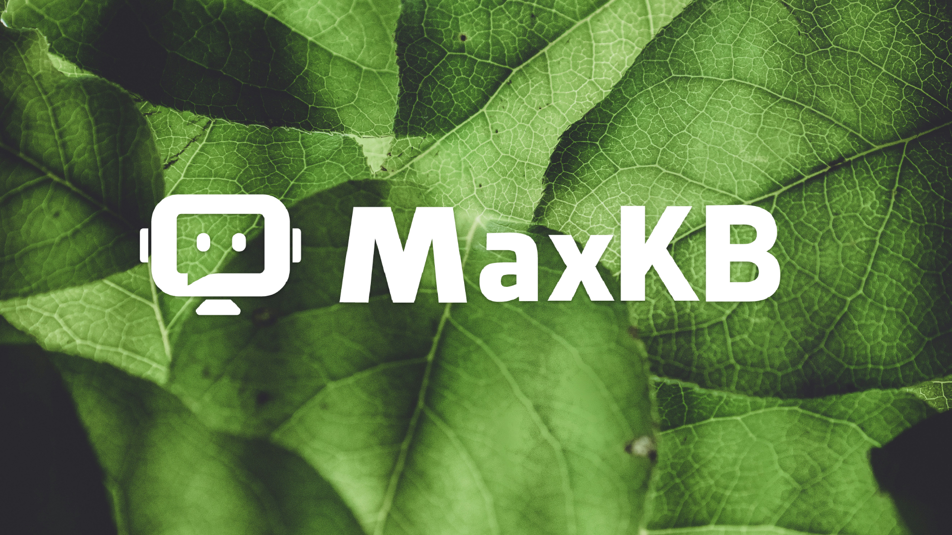 MaxKB 的 RAG 引擎和向量存储实现细节