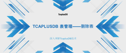 【深入理解TcaplusDB技术】TcaplusDB 表管理——删除表