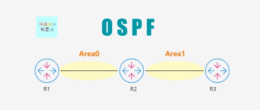 应用最广泛的动态路由协议：OSPF