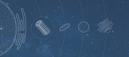 https://static001.geekbang.org/infoq/55/55fb81e3f6e97a90ef67f8d6af441464.jpeg?x-oss-process=image%2Fresize%2Cw_416%2Ch_234