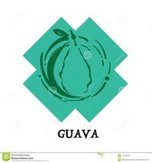 Guava-技术专题-Cache用法介绍