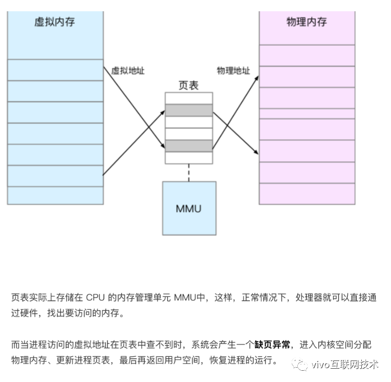 共享内存原理与VCS监控采集实战