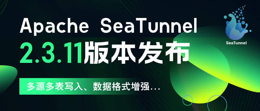 多源多表写入、数据格式增强,SeaTunnel 2.3.11 重磅更新来了!