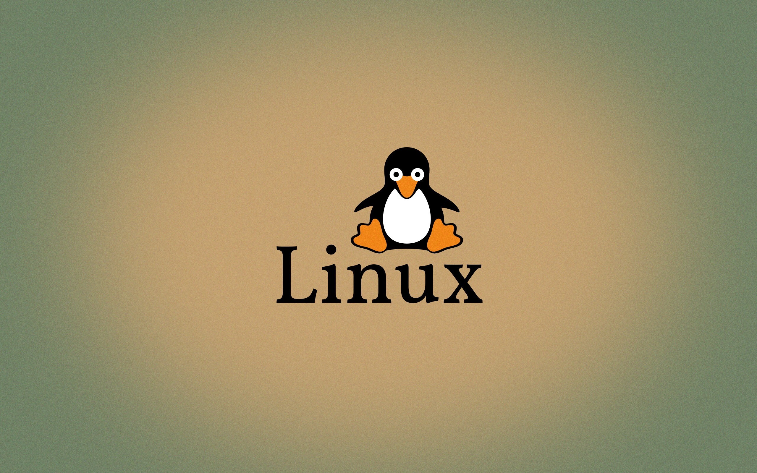 Linux虚拟化指南：构建虚拟化环境