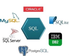 SQL就业市场最吃香！解密为什么SQL历经半个世纪仍经久不衰？