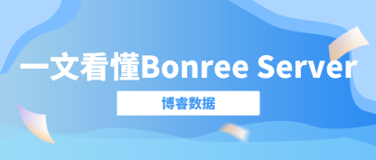 一文看懂——什么是Bonree Server？