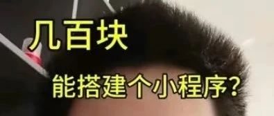 我这没有几百块的小程序,饶了我吧!
