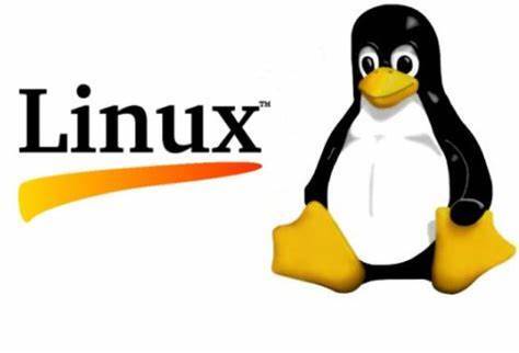 如何给VirtualBox虚拟机的ubuntu LVM分区扩容