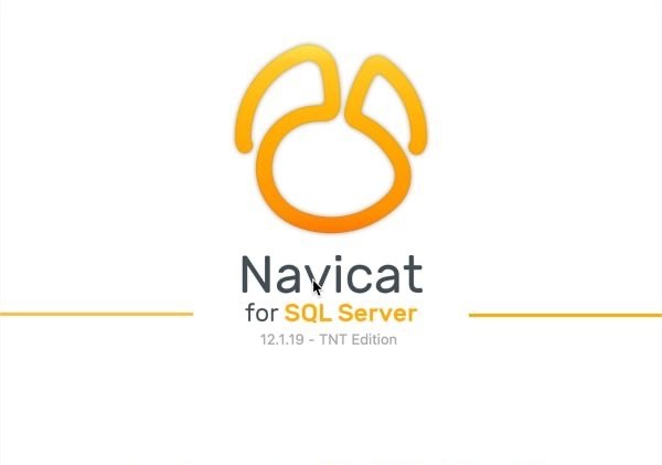 Navicat for SQL Server for mac(数据库管理软件) v12.1.19中文版