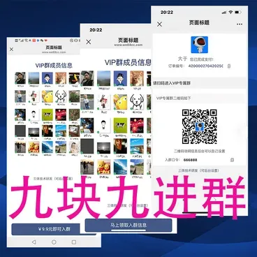 九块九付费进群系统：社群变现新工具