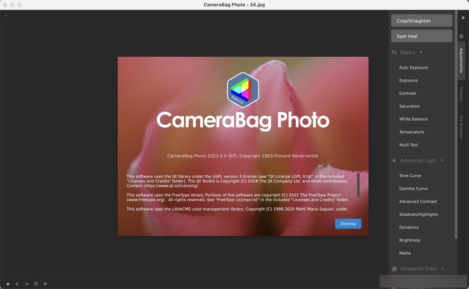 Nevercenter CameraBag Photo for Mac(照片滤镜软件) 2023.4.0完整激活版