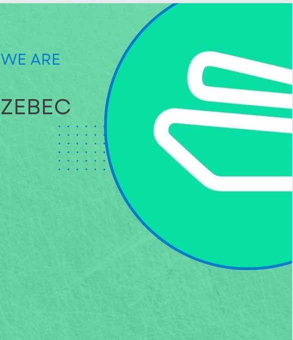 Zebec完成BNB Chain以及Near链上协议部署，多链化进程加速