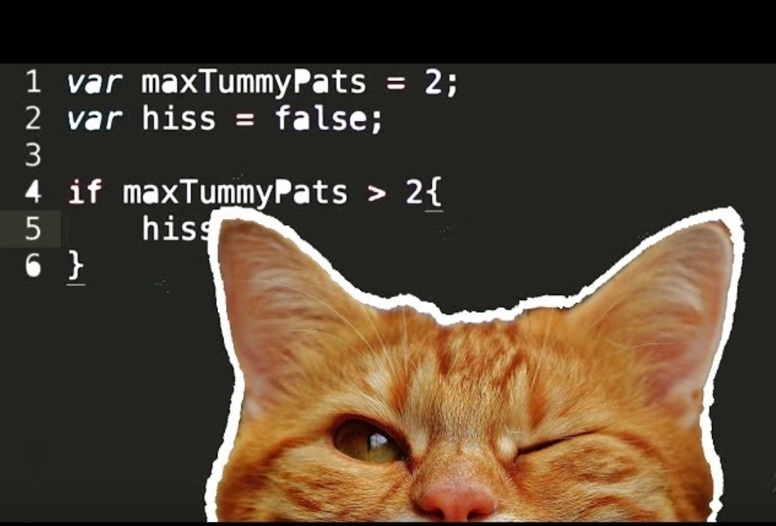 呼吁开发者要有责任心，网友说我矫情...｜1024，我们采访了与AI相爱相杀的程序员们