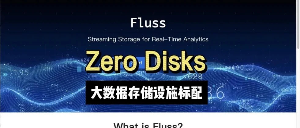 Fluss RoadMap里Zero Disk是啥