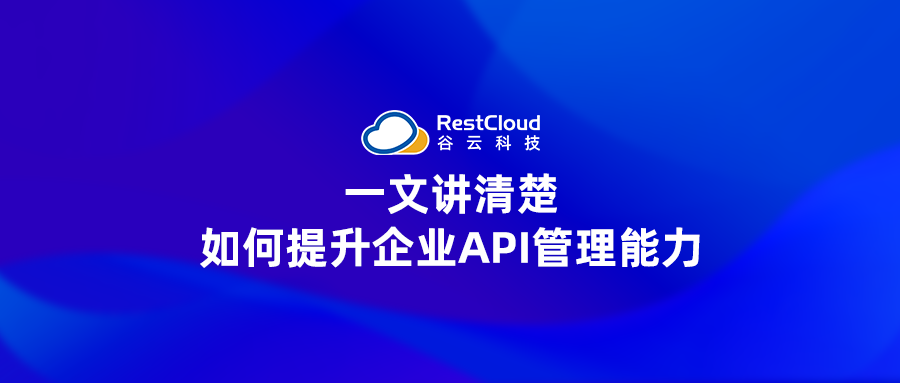 一文讲清楚如何提升企业API管理能力